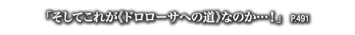 「そしてこれが《ドロローサへの道》なのか…！」　P.491
