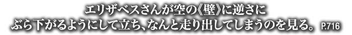 エリザベスさんが空の《壁》に逆さにぶら下がるようにして立ち、なんと走り出してしまうのを見る。　P.716